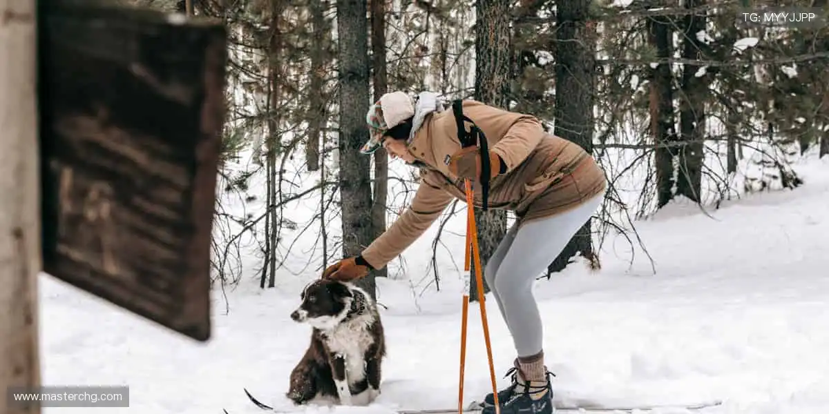 📺 实时解说，带你沉浸式感受赛场心跳！